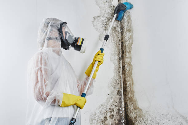 Best Mold Testing  in Sheridan, OR