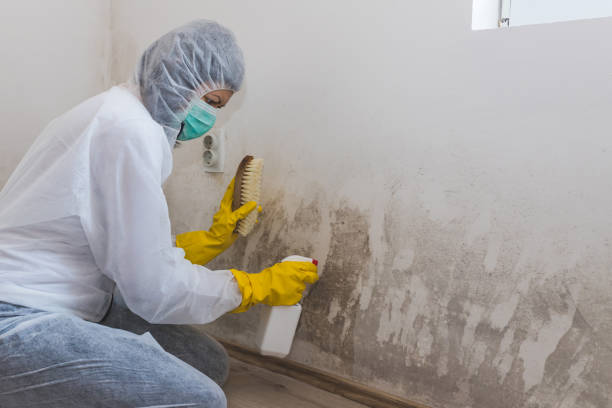 Best Emergency Mold Removal  in Sheridan, OR