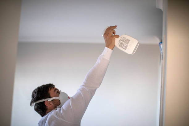 Best Fast Mold Removal  in Sheridan, OR
