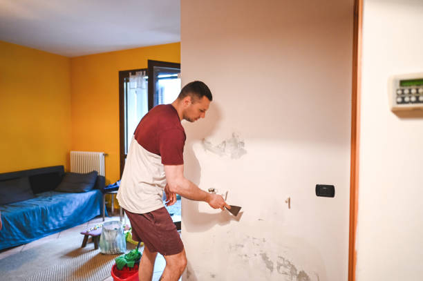 Best Residential Mold Removal  in Sheridan, OR