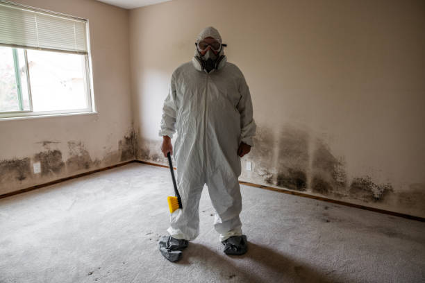 Best Office Mold Removal Services  in Sheridan, OR