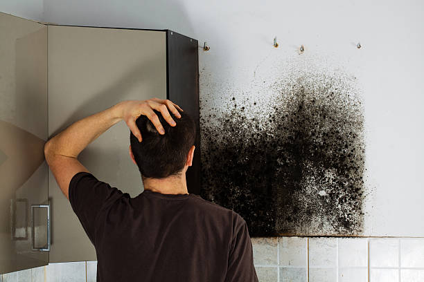 Best Emergency Mold Removal  in Sheridan, OR